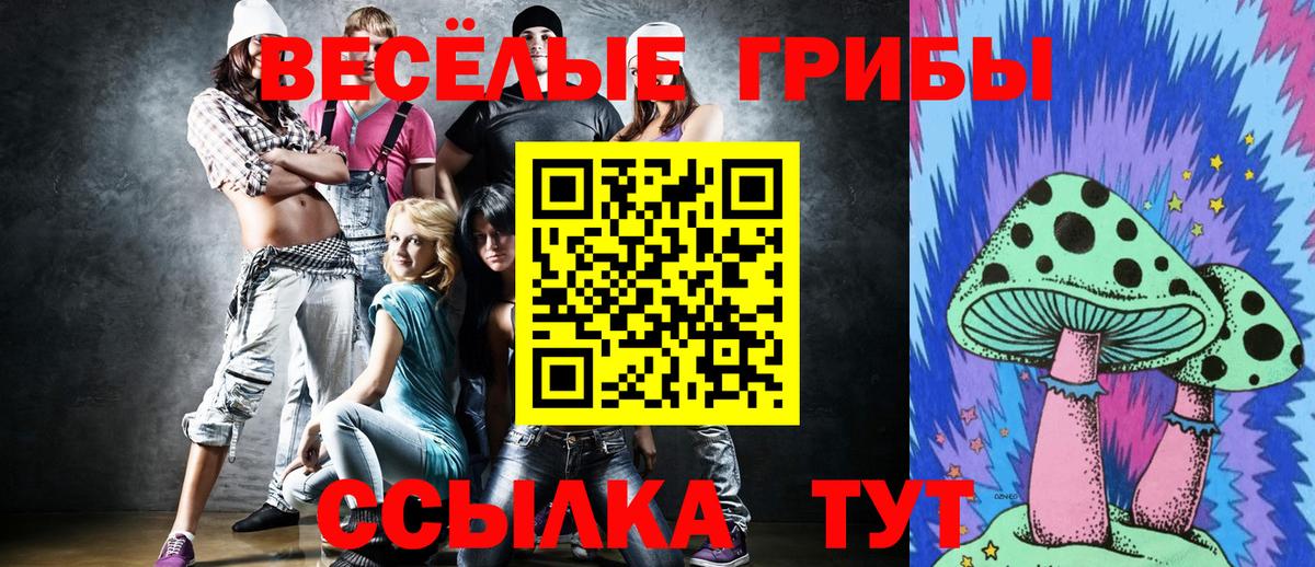 Псилоцибиновые грибы мухоморы Людиново