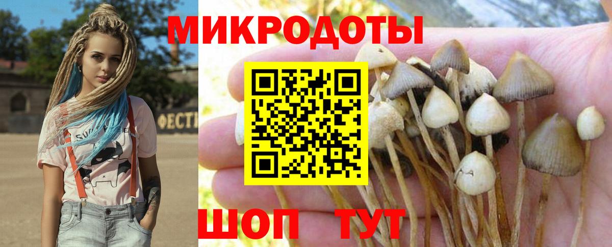 Псилоцибиновые грибы прущие грибы  Вход с VPN  Псилоцибиновые грибы Cubensis  Людиново 